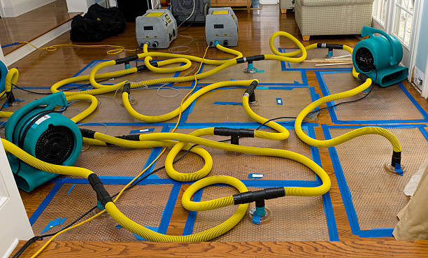 Professional Water Extraction technician working in Stark City, MO